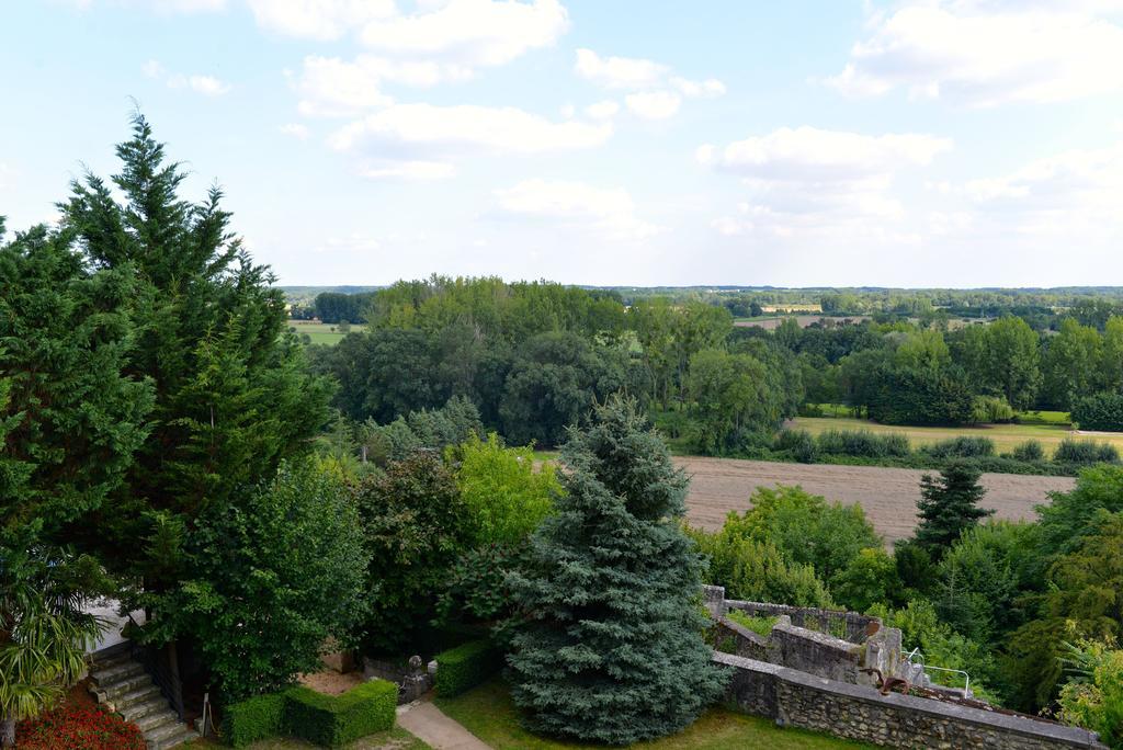 Gites Troglodytes Du Chateau De L'Etoile Vernou-sur-Brenne 部屋 写真